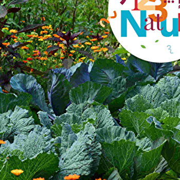 ATELIER FAMILLE 123 NATURE : FLEURS DU JARDIN AU BOUQUET - AUDINCOURT