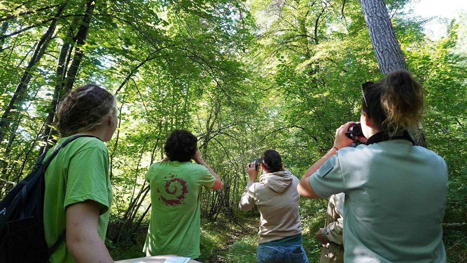 Découvrez le Parc national de forêts