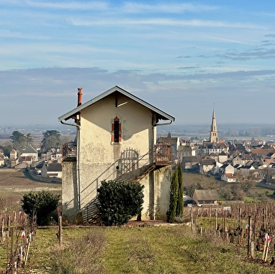 Les Maisons du dimanche : un voyage dans le temps