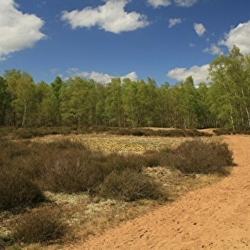 Réserve Naturelle Nationale de La Truchère-Ratenelle - LA TRUCHERE