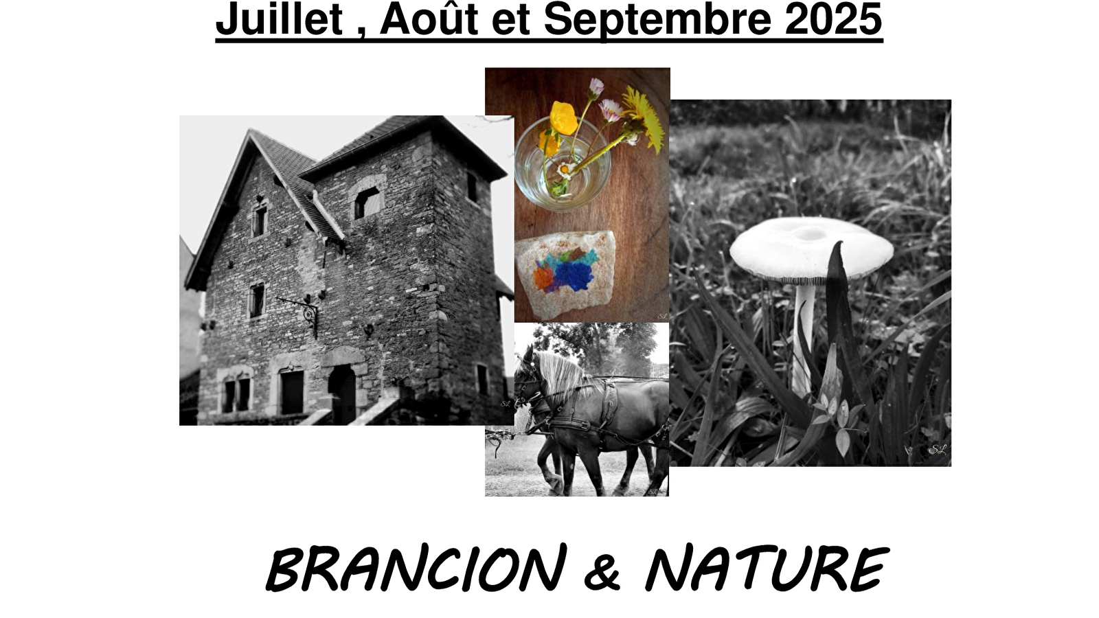 BRANCION ET NATURE