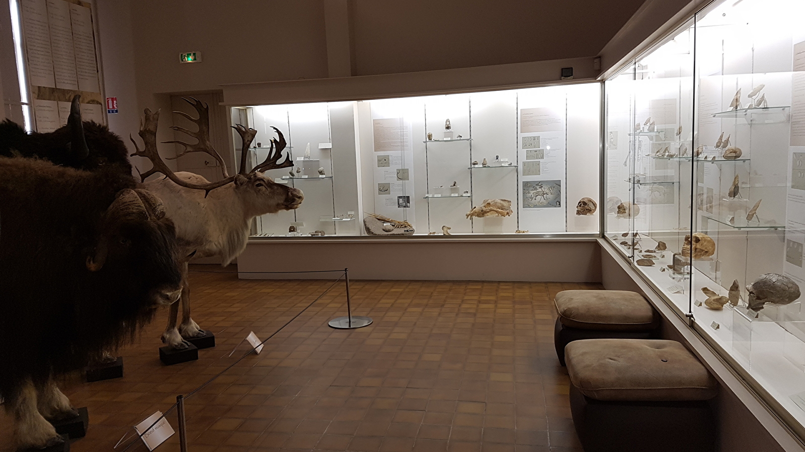 Museum d'Histoire Naturelle Jacques de La Comble