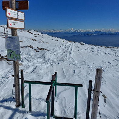 Sentier raquettes de Lélex au Crêt de la Neige