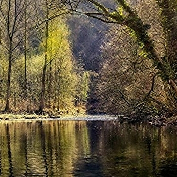 Vallée de l'Ognon - THUREY-LE-MONT