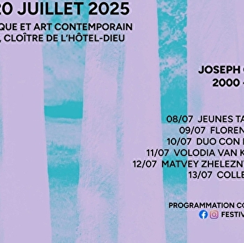 Festival mac3 - Musique & Art Contemporain à Dole - DOLE