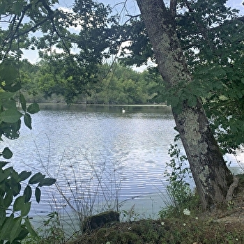 Randonnée : Sentier des Sources libres - DOMPIERRE-SUR-BESBRE