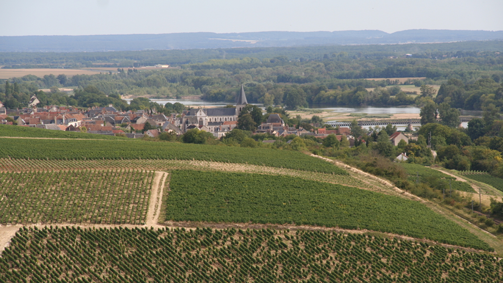 Vignoble de Pouilly-Fumé et Pouilly-sur-Loire