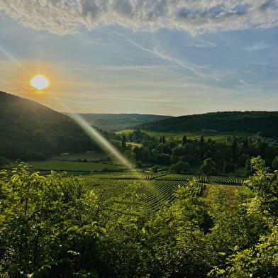 Safari Tours - Tour n°8 Côte de Nuits - Côte de Beaune