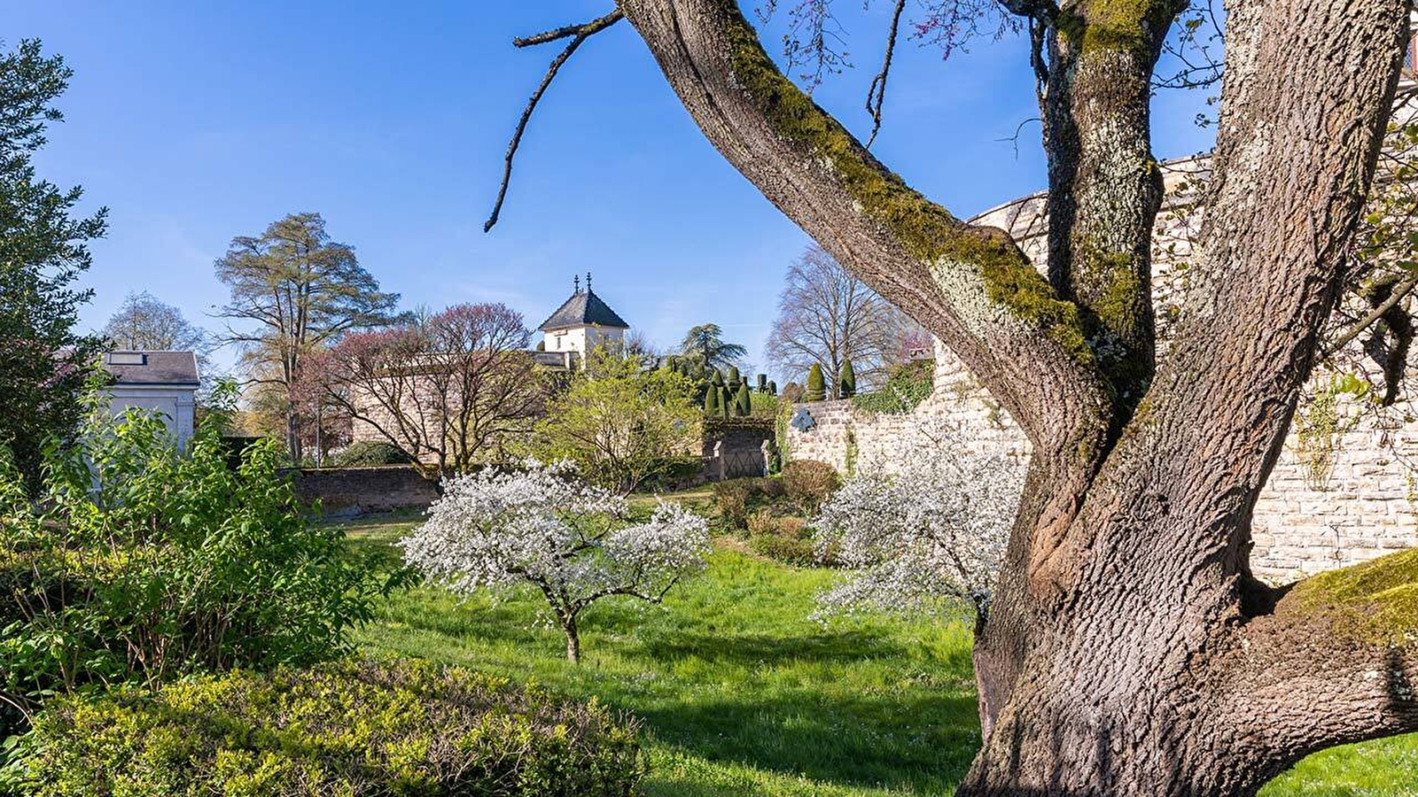 Visite guidée des remparts :les arbres sur les remparts