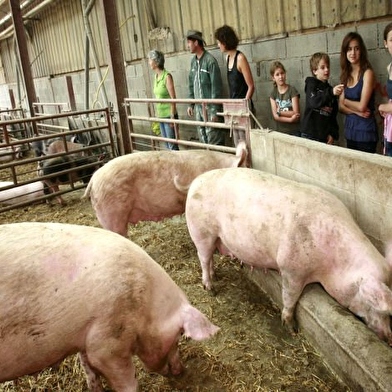 Gite ferme bio à They