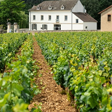 Domaine du Château de Garnerot