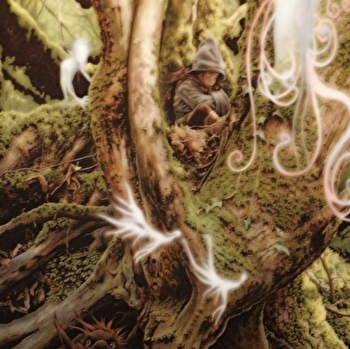 Théomir le magicien au Parc national de forêts - LEUGLAY