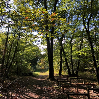 Circuit de randonnée pédestre : Le circuit du Sorbier
