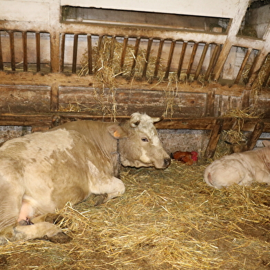 Ferme Découverte du Barboux