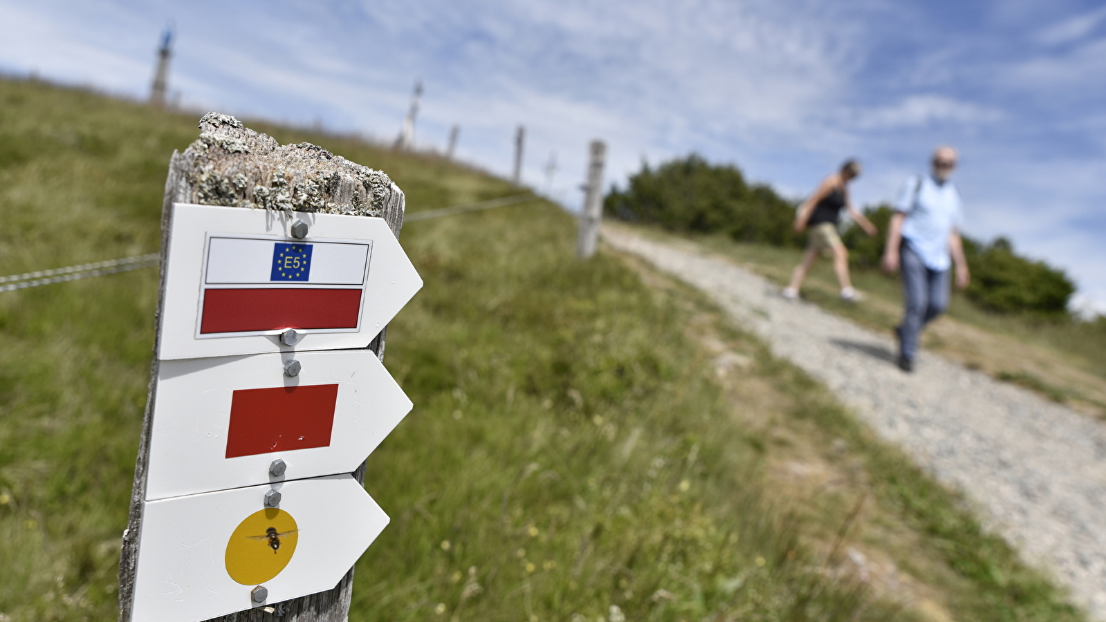 Traversée du Massif des Vosges à pied