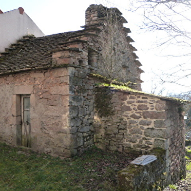 L'eau et la forêt