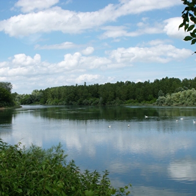 Découverte de la Bresse du Nord