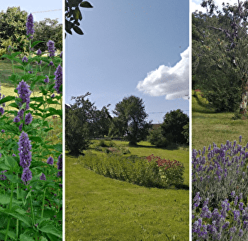 Visite gourmande aux plantes - BARRETAINE