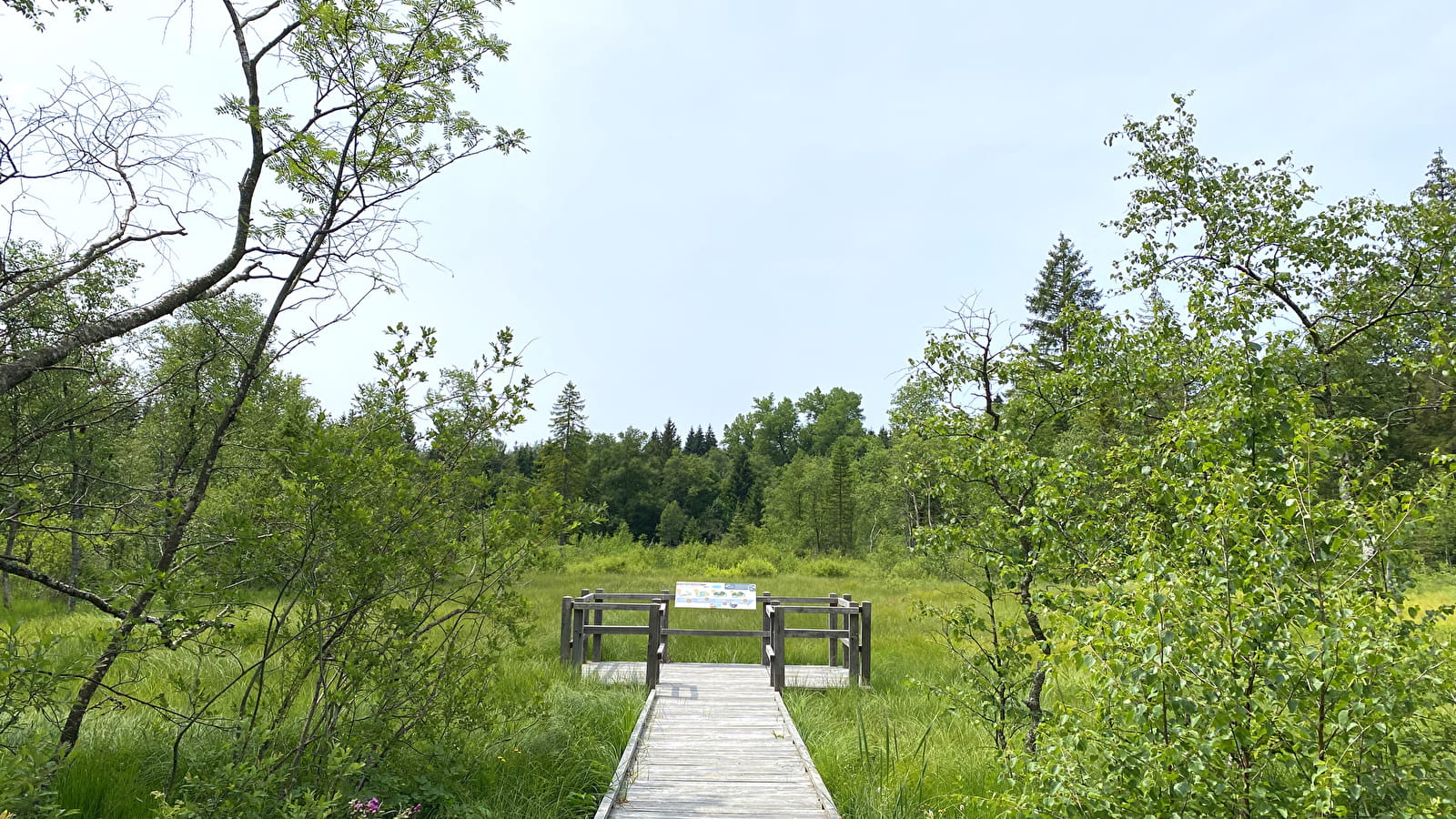 Tourbière de l'Entre Côtes du Milieu
