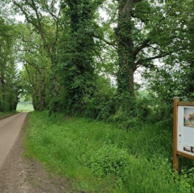 Parcours découverte La Villéon en Puisaye