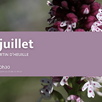 Apéro Biodiv #3 • 11 juillet • Champlemy - CHAMPLEMY