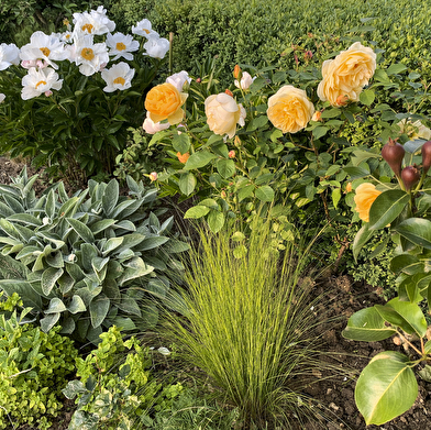 Rendez-vous aux jardins : jardin potager de Lantilly