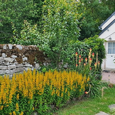 Gîte La Source