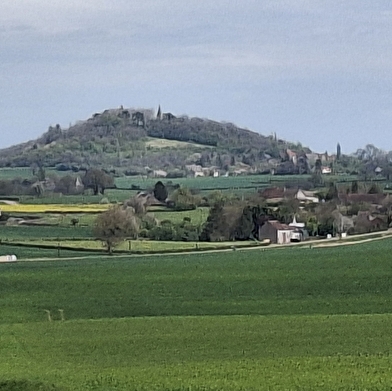 Le SEPT 