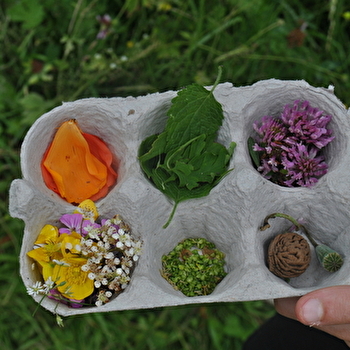 Atelier créatif en DUO enfant-Adulte encre de fleurs et de légumes - PRESSY-SOUS-DONDIN