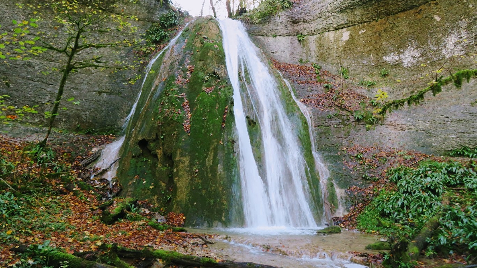 Baume Bourla