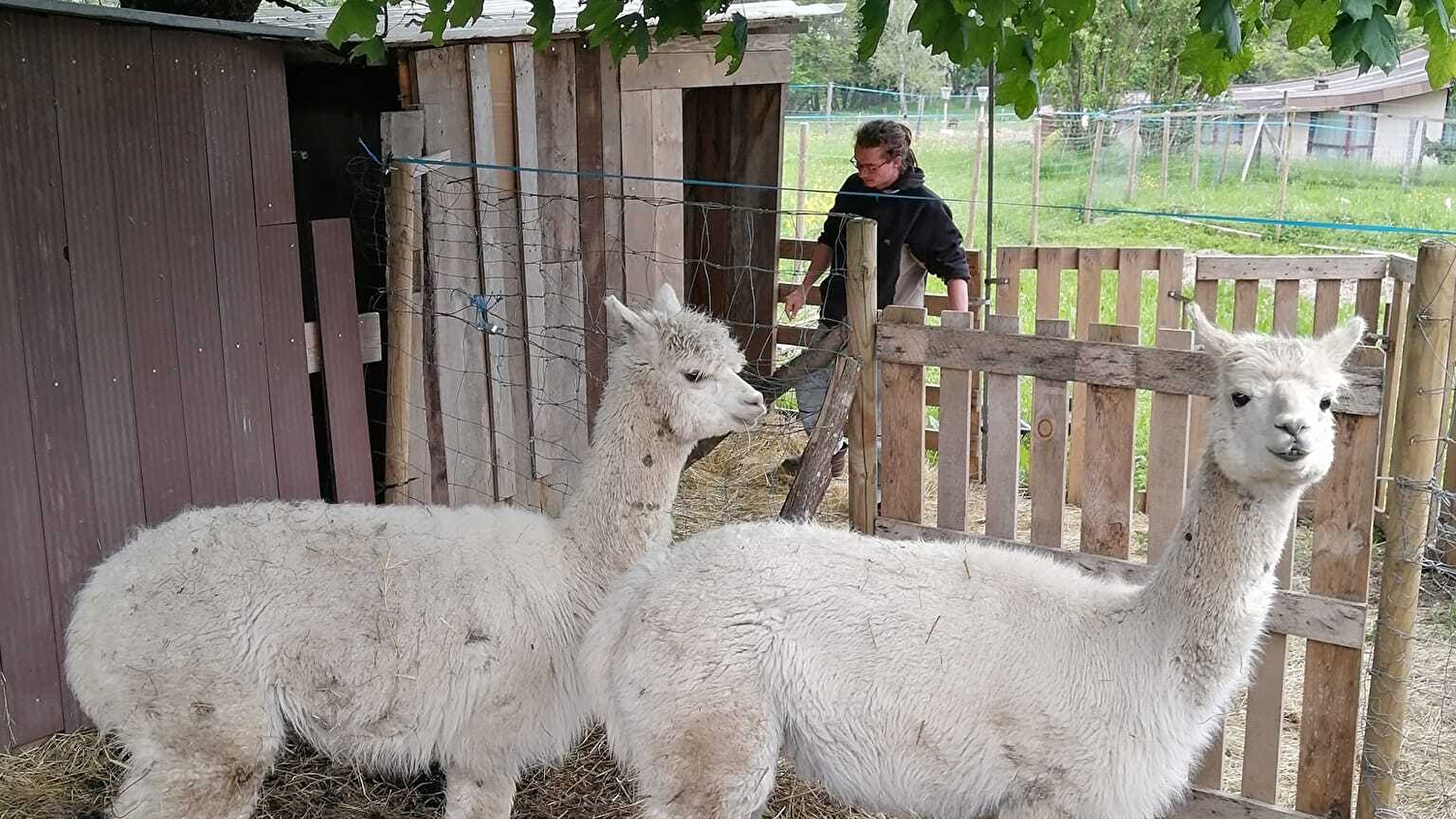 Fête de la Ferme du Fort-Lachaux