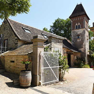 Le Petit Renard