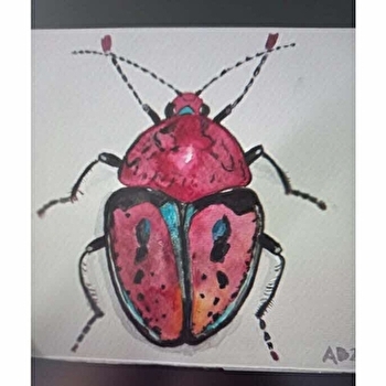 Stage d'été dessin et peinture : Dessiner les animaux - VOILLANS