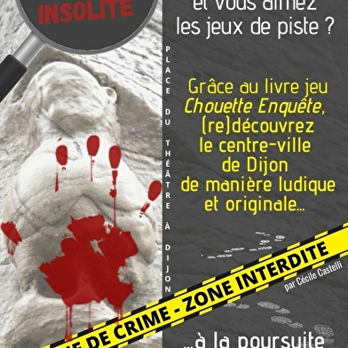 Enquête au centre-ville de Dijon : Qui a tué Alex Corton ?