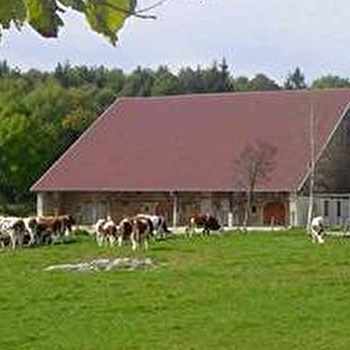 Le sentier de Cessay - FRASNE