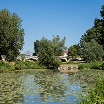 CHALON-SUR-SAONE - CHALON-SUR-SAONE