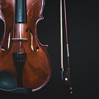 Une soirée musicale à Vienne - TREIGNY-PERREUSE-SAINTE-COLOMBE