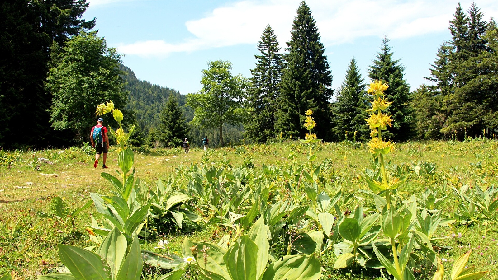 Le Mont Sâla par le Creux du Croue
