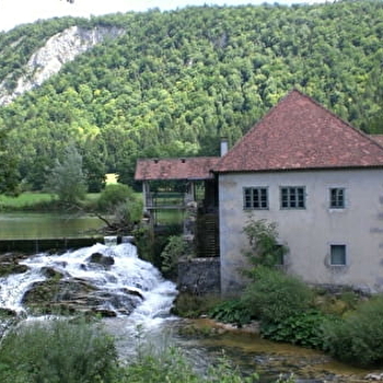 Le Martinet - SYAM