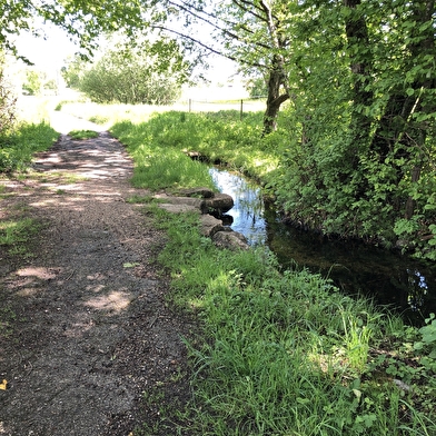 Promenade à travers les écuries (Arbère-Grilly)