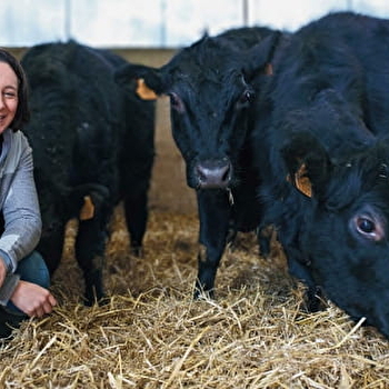 Visite guidée et dégustation Route des Savoir-faire : Les Angus du Chaufour - RAYNANS