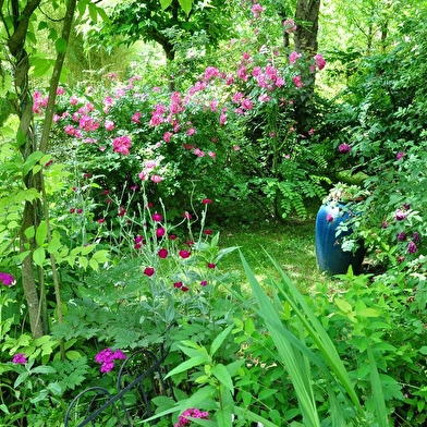 Jardin de méli-mélo