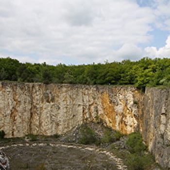 Journées européennes du patrimoine à la Réserve Naturelle Nationale du Bois du Parc, à Mailly-le-Château - MAILLY-LE-CHATEAU