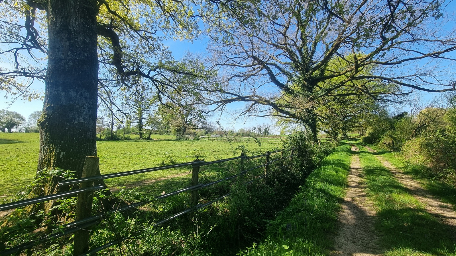 Liaison VTT (L4) St Trivier de Courtes - Ferme de la Forêt