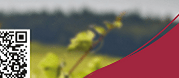 Apéro Concert jeudi 10 juillet au Château Philippe le Hardi - SANTENAY