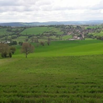 Circuit VTT n° 3 Vert  de Varzy