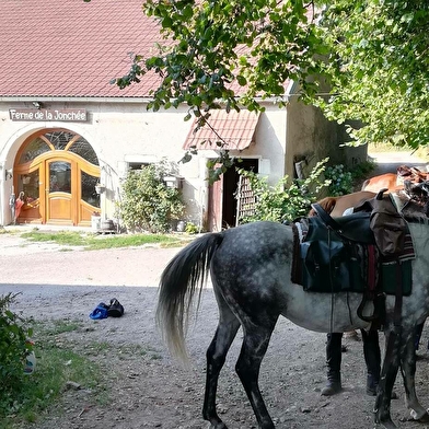 Trace equestre des ballons comtois