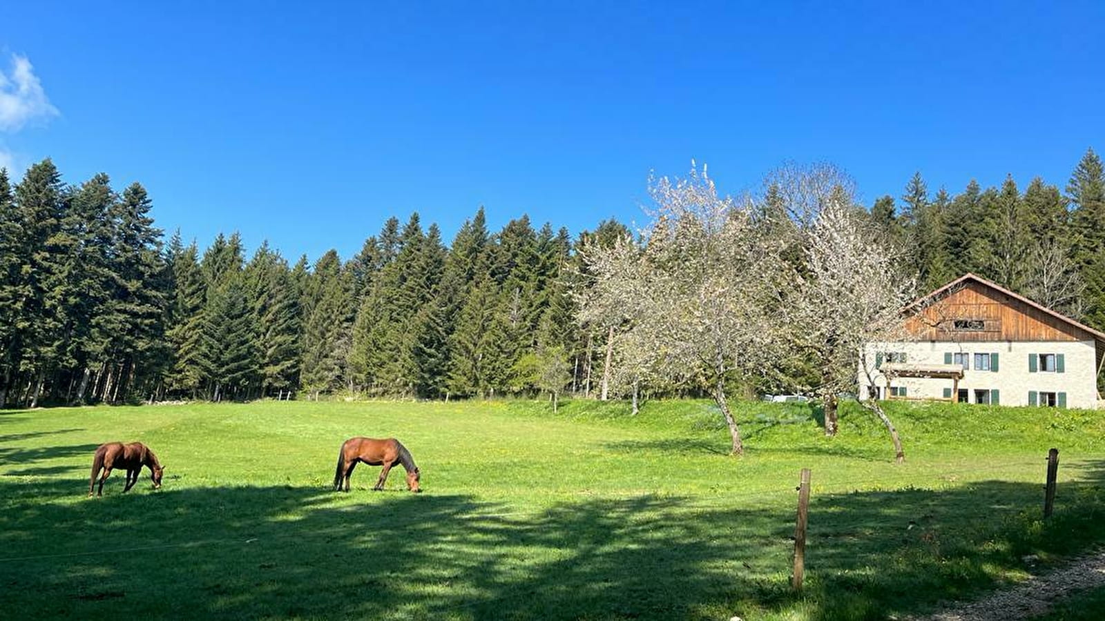 La Ferme des Brosses