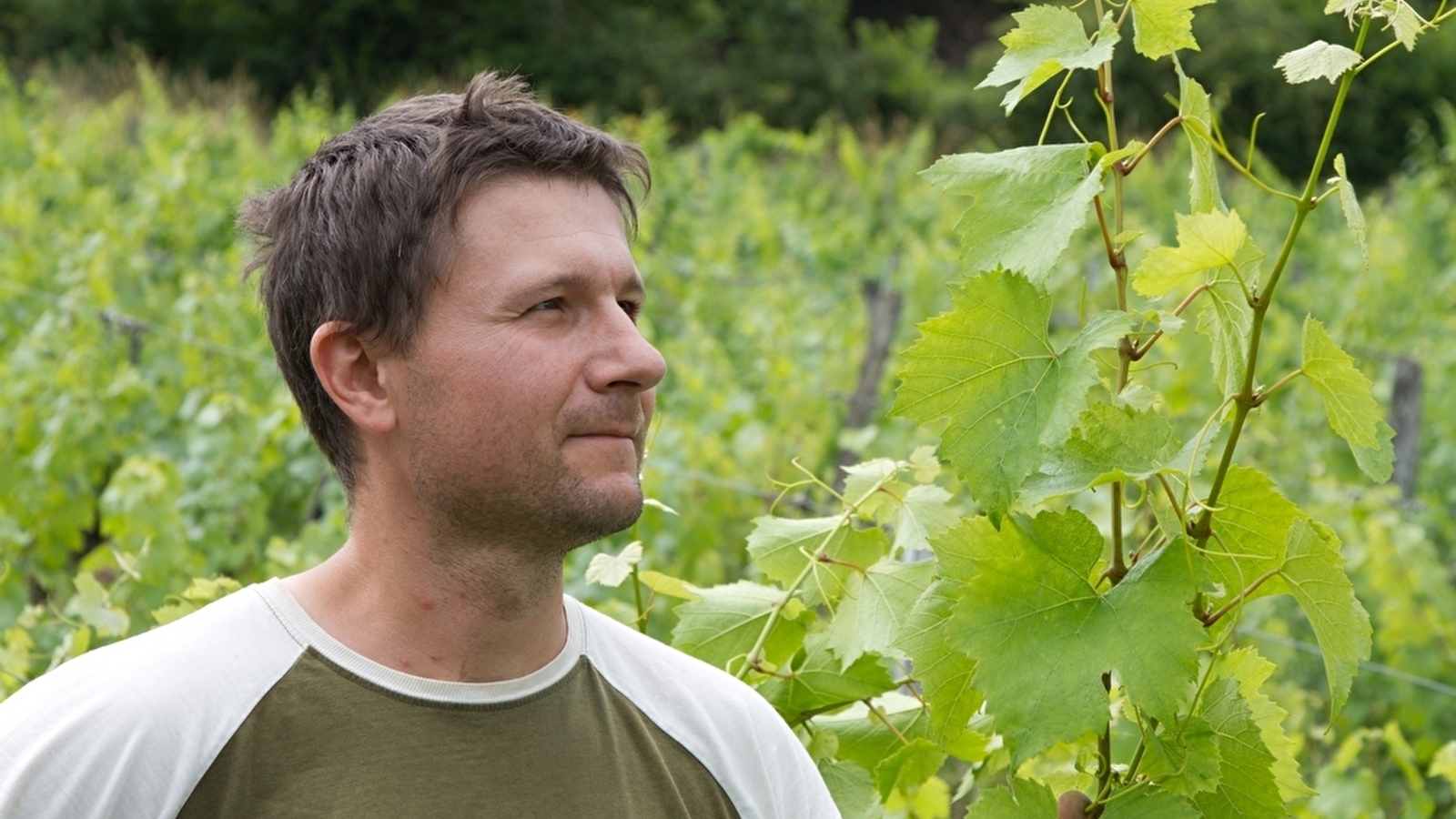 Domaine Hughes Beguet