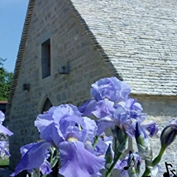 Lucioles - CHAMOLE